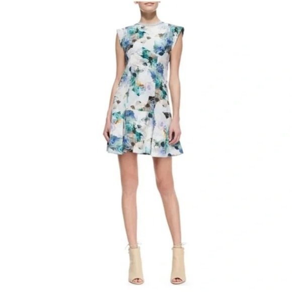 Women Size 2 Rebecca Taylor Enchanted Gardens Drop-Waist Floral-Print Mini Dress - Picture 2 of 8